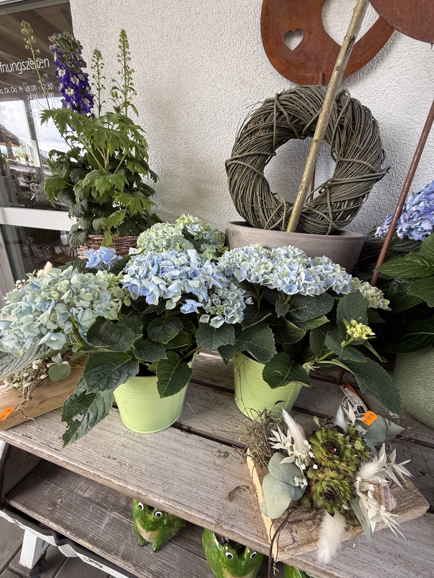 Blumen und Pflanzen im Laden von Blumen-Meister in Hemau