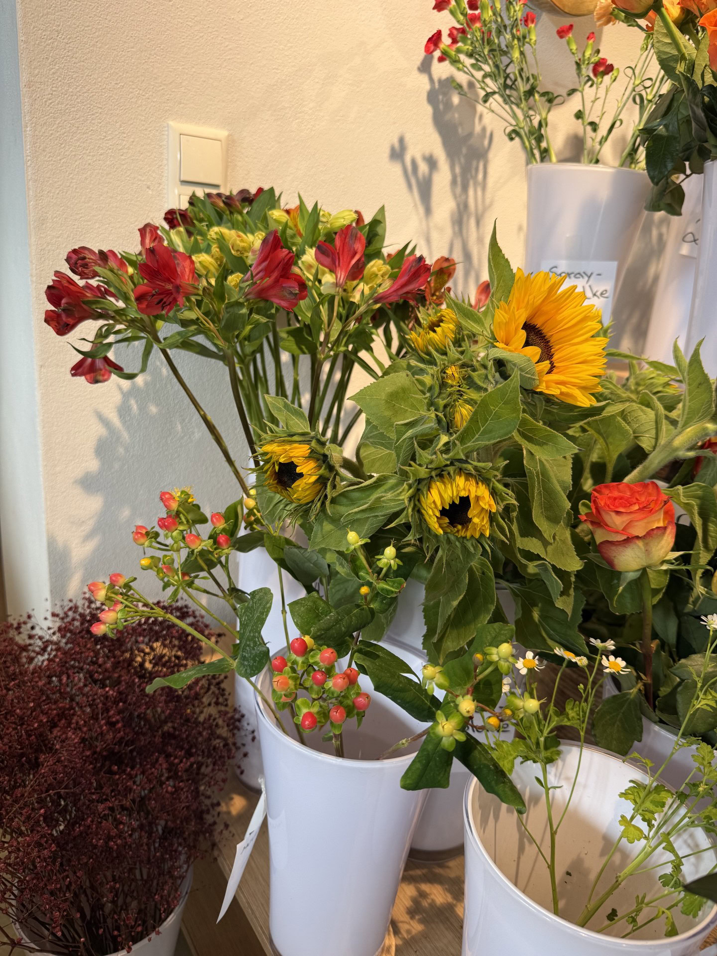 Blick in den Laden von Blumen-Meister in Hemau