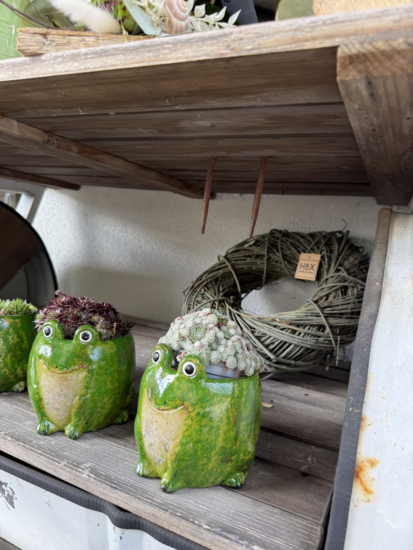 Dekoration für drinnen und draußen bei Blumen-Meister in Hemau