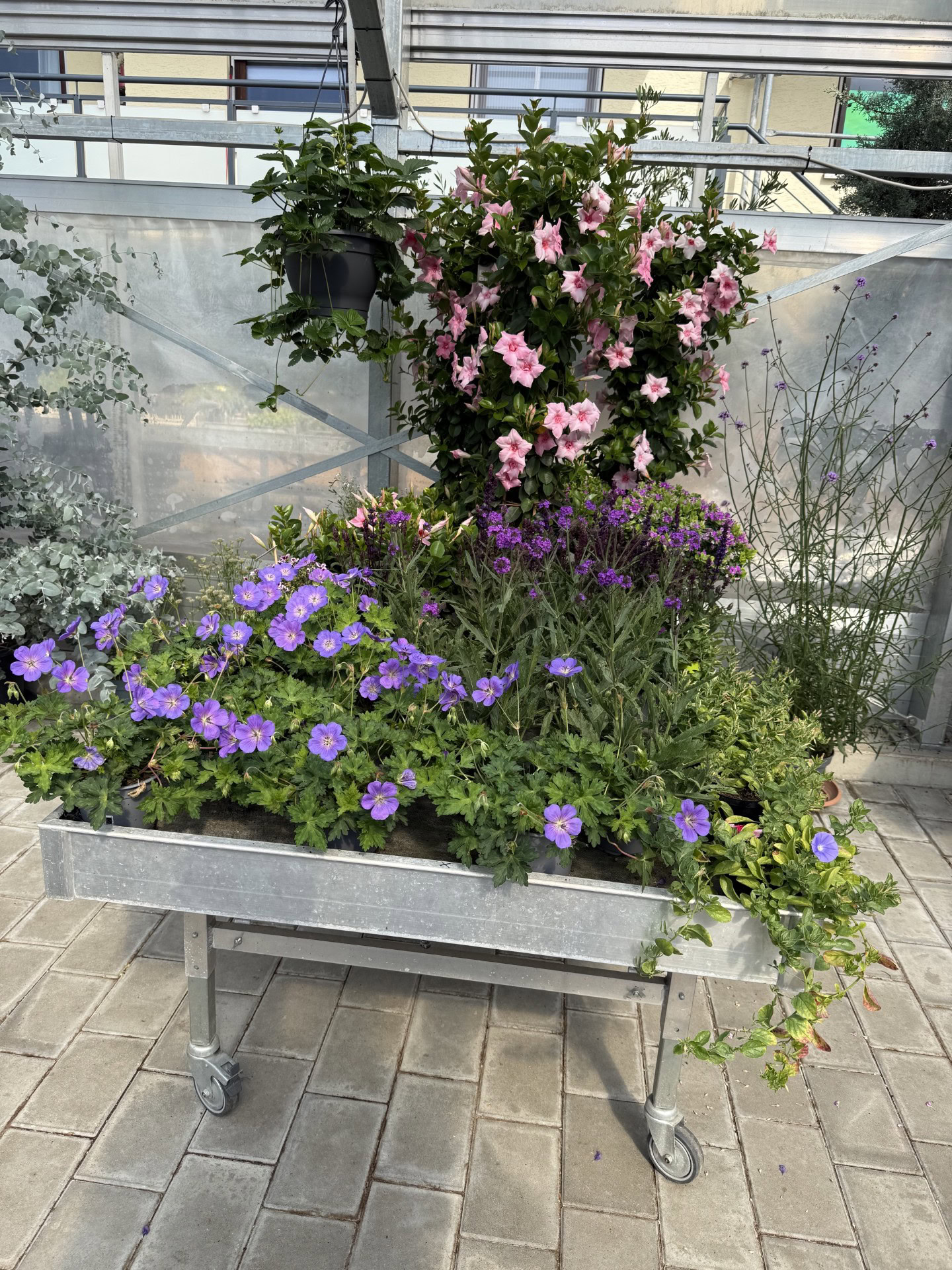 Grabschmuck und Trauerfloristik von Blumen-Meister in Hemau