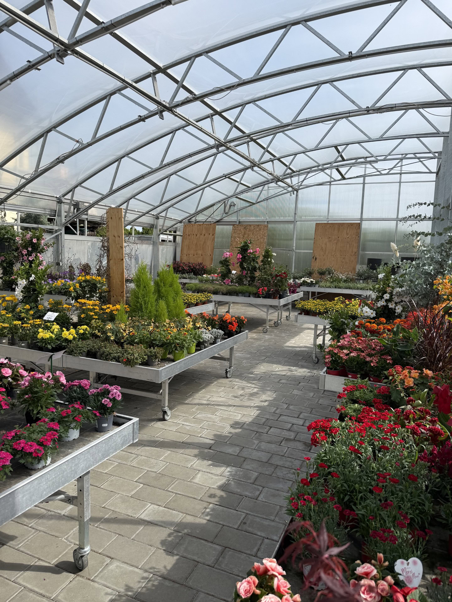Pflanzen-Ecke im Ladengeschäft von Blumen-Meister in Hemau