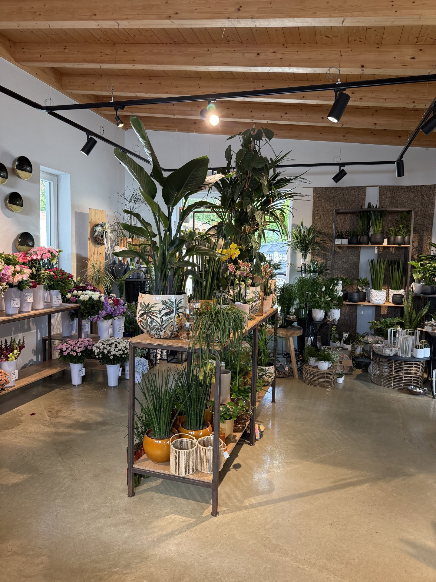 Verkaufsraum von Blumen-Meister in Hemau